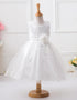 Mesh Paggy Dress